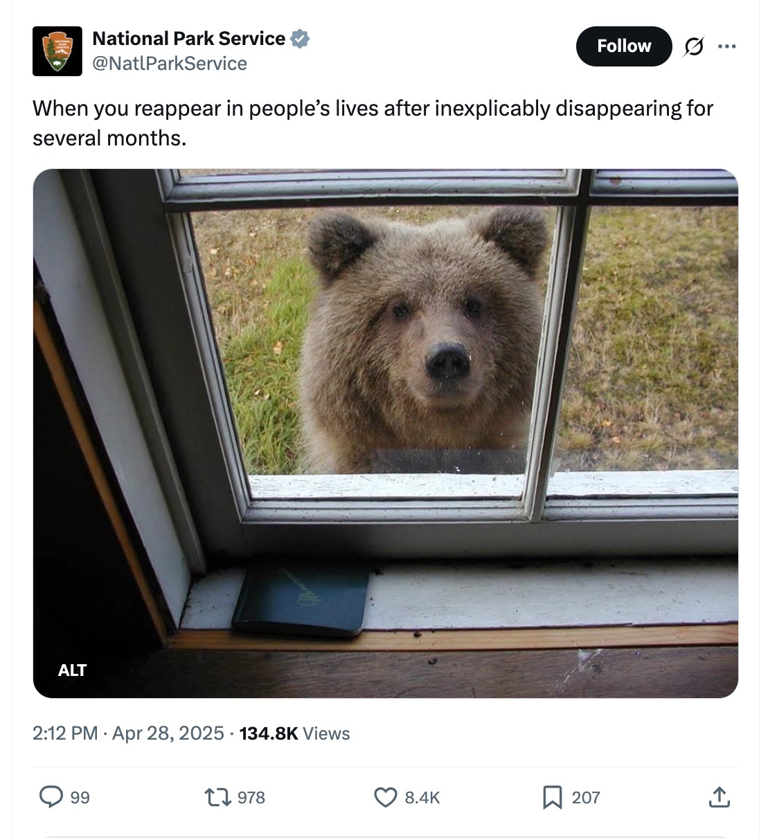 An X post from National Park Service featuring a picture of a bear looking through a window and a caption: “When you reappear in people’s lives after inexplicably disappearing for several months.”