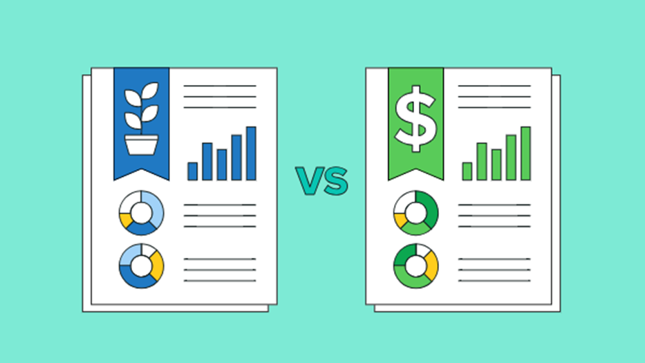 An illustration comparing growth (on the left) with a plant icon and revenue (on the right) with a dollar sign icon