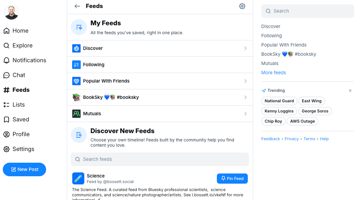 Bluesky’s Feeds page shows options like Discover, Following and Popular With Friends.